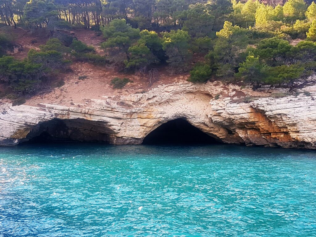 Layered limestone cliffs with dark sea caves at the water's edge, topped by a green pine forest, with turquoise sea in the foreground, Vieste, Gargano, Puglia.