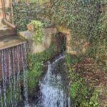 Small waterfall flowing from a stone channel covered in ivy, with greenery surrounding the stream in a village setting.