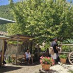 Shaded outdoor dining area in the countryside with wooden picnic tables, potted flowers, and people relaxing under trees.