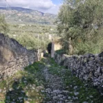 slightly destroyed stone stairs have a stone wall on one side and trees on the other.