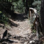 Rocky forest path of Sentiero dell’Amore trail near Vignanotica Beach in Gargano
