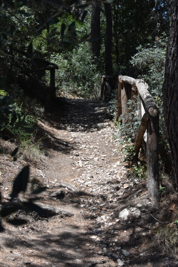 Rocky forest path of Sentiero dell’Amore trail near Vignanotica Beach in Gargano