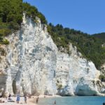 white cliffs overgrown with trees are standing over the beach.