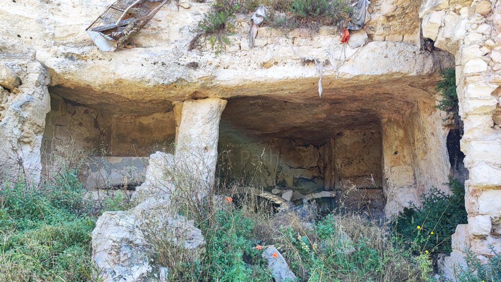 Large open-front cave dwelling carved into soft rock with stone support pillars and overgrown wild vegetation at the entrance in Gravina di Ginosa, Puglia.