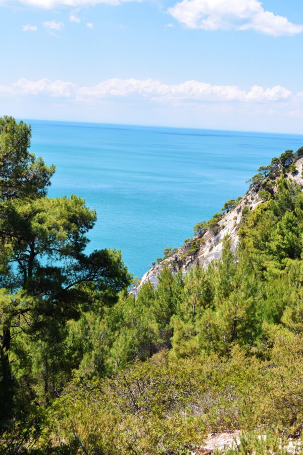 A high-angle scenic view from a coastal trail on the Gargano Peninsula in Puglia. Green pine treetops and Mediterranean vegetation fill the foreground, looking down towards a steep, white limestone cliffside that slopes into a calm, turquoise sea under a bright blue sky with light clouds.
