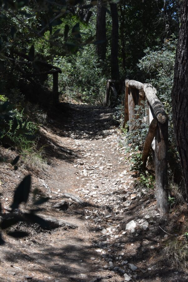 A narrow, rocky dirt path winding through a shaded forest on the Gargano Peninsula. A rustic wooden handrail made of raw logs runs along the right side of the trail, surrounded by dense green Mediterranean bushes and pine trees with patches of sunlight filtering through.