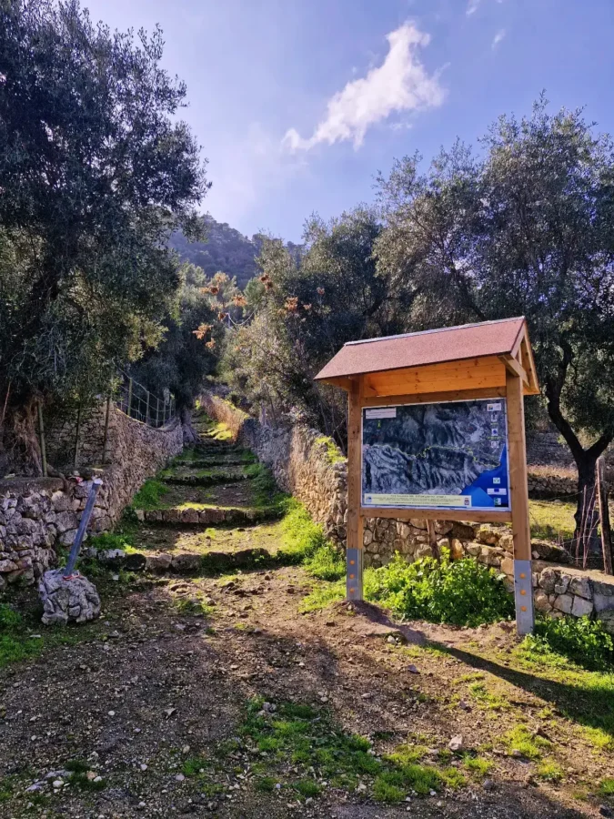 A wooden information sign with a map stands at the entrance of a hiking trail leading up Monte Saraceno. The trail begins with wide, shallow stone stairs covered with patches of grass, flanked by low dry stone walls and olive trees under a bright blue sky with light clouds.