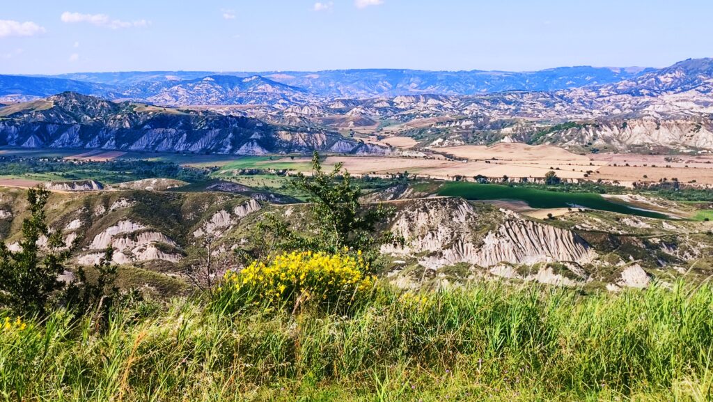 Panoramiczny widok na charakterystyczne gliniaste wąwozy i calanchi w Basilicacie we Włoszech, widziane z opuszczonego miasta Craco, z zieloną trawą i żółtymi kwiatami na pierwszym planie.