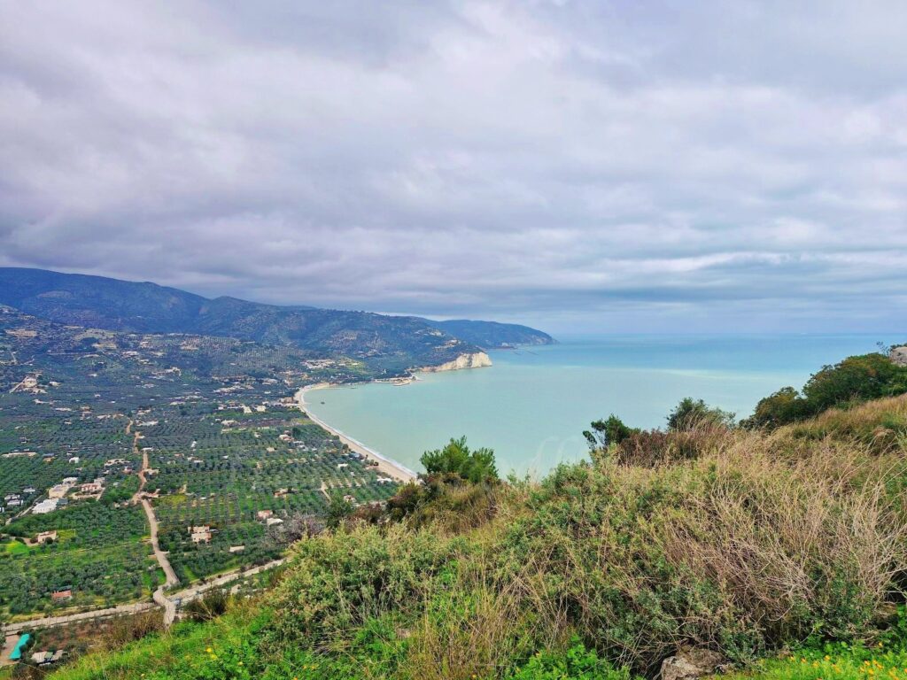 High-angle panoramic view of the Mattinata coastline from a grassy hillside. A curved sandy beach meets a calm, light blue sea, bordered by a vast plain filled with green olive groves and scattered houses. In the distance, green mountains stretch toward a white cliff under an overcast, cloudy sky.