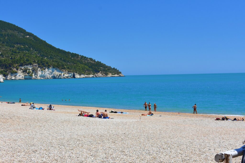 A wide view of the pebble beach of Vignanotica in the Gargano region of Puglia. In the background to the left, high white limestone cliffs topped with dense green pine forest slope down directly into a calm, turquoise sea. A few beachgoers are scattered across the light-colored gravel shore and wading in the water under a clear, bright blue sky.