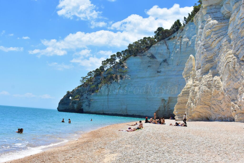 Kamienista plaża Vignanotica w regionie Apulia (Gargano) z jasnym żwirem nad turkusowym morzem. Po lewej stronie w tle wysokie, białe klify wapienne porośnięte zielonym lasem schodzące pionowo do wody. Na plaży i w wodzie nieliczni ludzie wypoczywający na ręcznikach i kąpiący się pod czystym, bezchmurnym niebem.