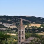 A stone church tower with windows stands among the trees.