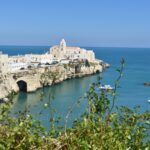 Nad morzem rosna zielone rosliny i w morzu jest skała na której stoją stare białe budynki.