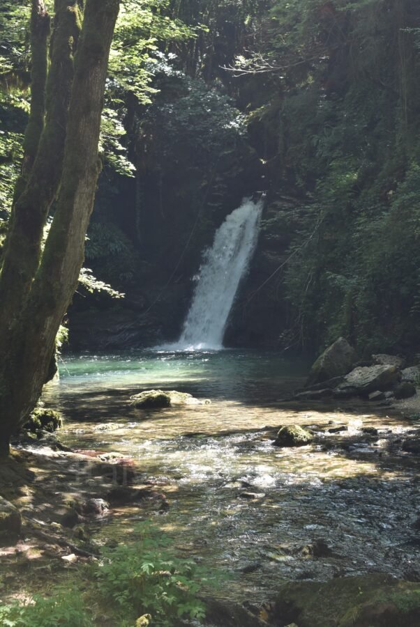 Waterfall cascading into a clear pool framed by dark rock walls and shaded woodland trees at Cascata di Trevi in Lazio, Italy.