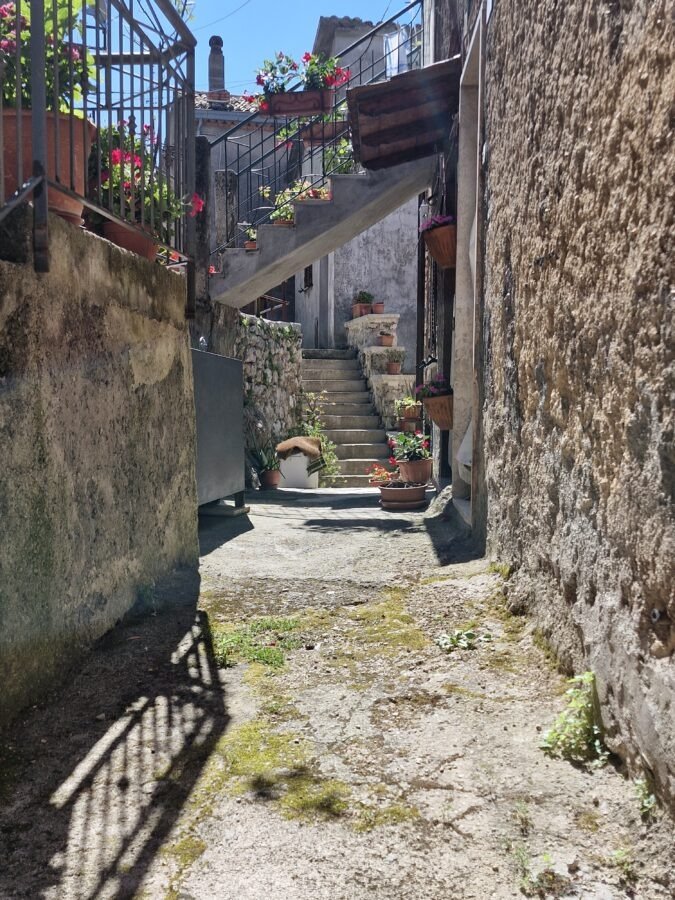 Narrow stone alley in Trevi nel Lazio with mossy pavement, external concrete staircases, and potted flowers leading up to stone steps.