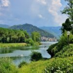 River view with swans swimming in the foreground, a small town nestled at the base of a forested hill in the background, and mountains under a partly cloudy sky.