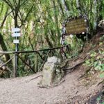 Forest clearing with a trail signpost, a stone pedestal with a sword embedded in it, and a wooden sign decorated with ribbons and tokens from visitors.