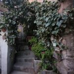 Wąska kamienna uliczka z roślinami w Papigno, Umbria