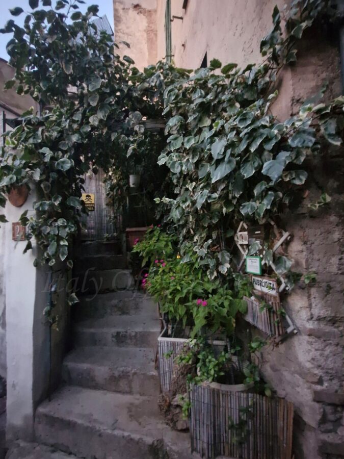 Wąska kamienna uliczka z roślinami w Papigno, Umbria