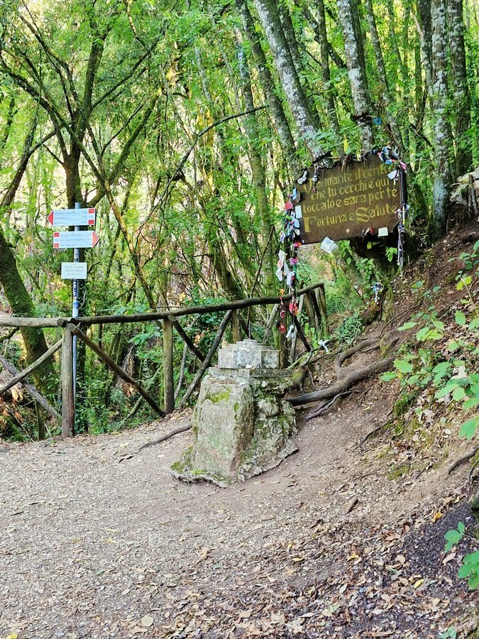 Stone marker and inscribed wooden sign marking the geographic center of Italy on a wooded hiking trail in Umbria