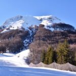 Winter landscape in Italy with a snow-covered mountain peak, bare forested slopes, and a ski trail bordered by pine trees beneath a bright blue sky