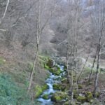 Mountain stream in Italy flowing through moss-covered rocks and bare winter trees, with rugged cliffs in the background.