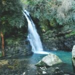 Scenic waterfall in Italy cascading into a turquoise pool, framed by moss-covered rocks and lush greenery, creating a peaceful nature scene