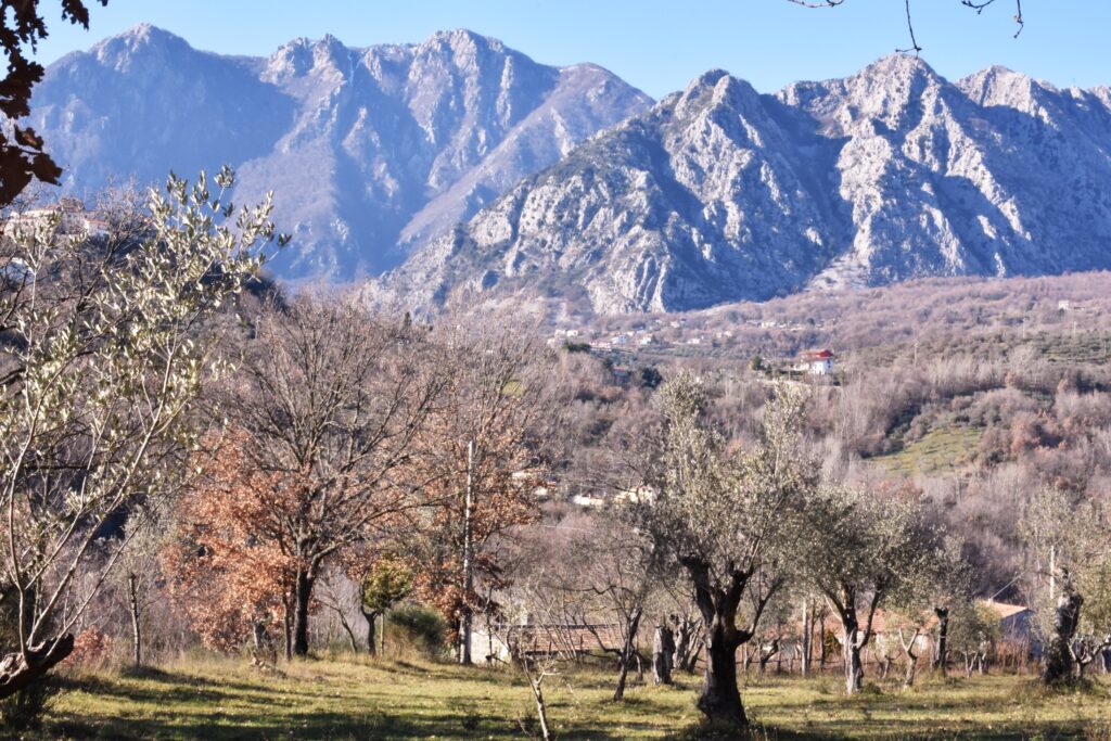 Scenic view of rugged mountains in Italy with a foreground of olive groves and bare winter trees, creating a tranquil countryside landscape