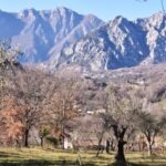 Scenic view of rugged mountains in Italy with a foreground of olive groves and bare winter trees, creating a tranquil countryside landscape