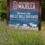 Entrance sign to Majella National Park, Orfento Valley, with lavender flowers in the foreground.