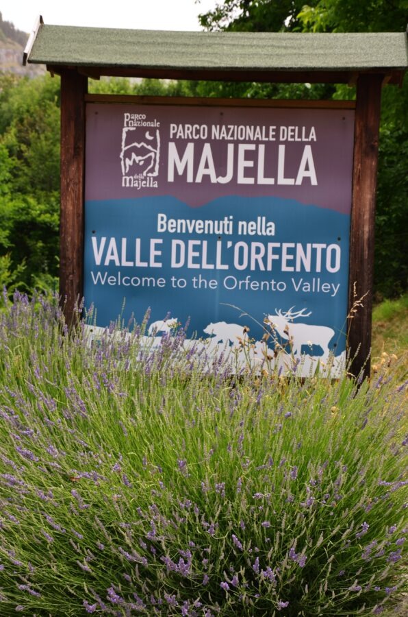 Entrance sign to Majella National Park, Orfento Valley, with lavender flowers in the foreground.