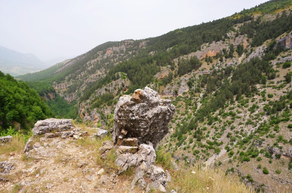 Rocky cliff edge overlooking a forested mountain valley.