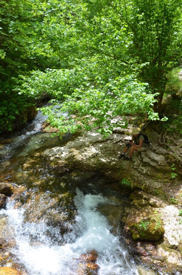 Hiker sitting by a forest stream in the shade of green trees.