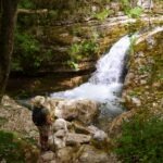 Small waterfall flowing into a rocky pool surrounded by greenery.