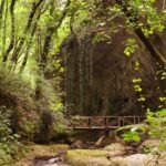 Wooden bridge over a rocky stream in a lush green forest.