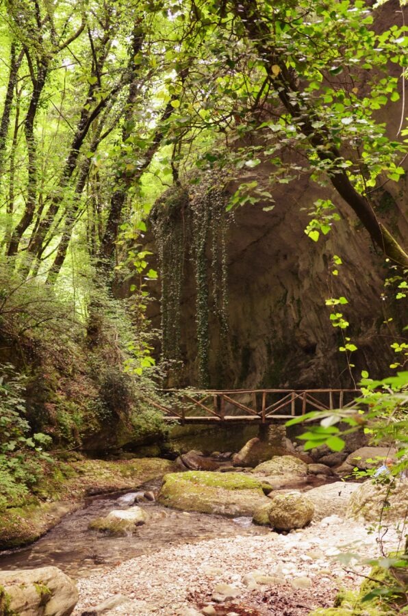 Wooden bridge over a rocky stream in a lush green forest.
