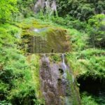 Moss-covered waterfall surrounded by dense greenery in a forest.