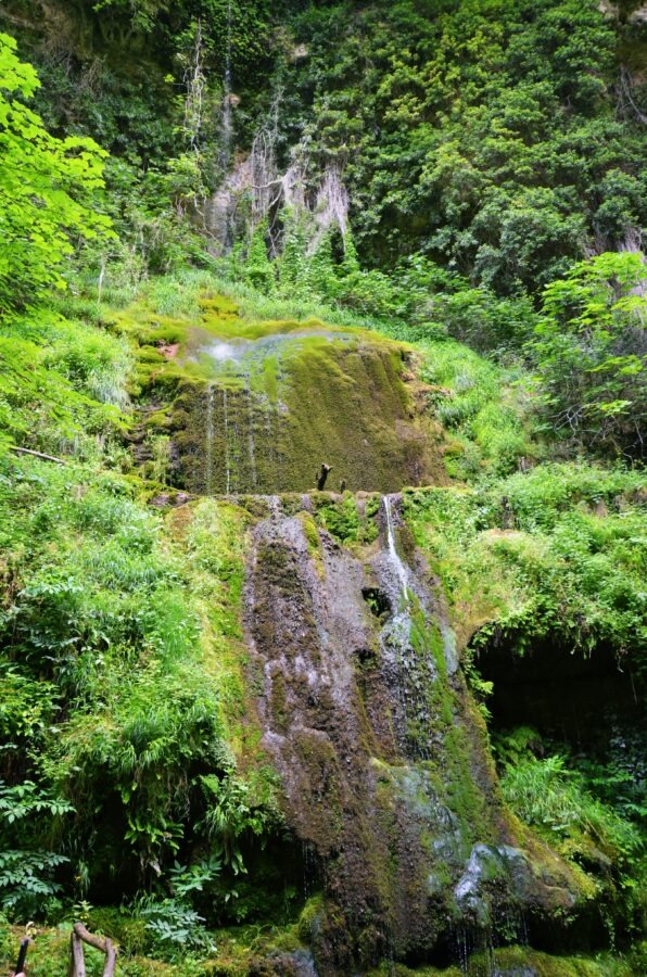Moss-covered waterfall surrounded by dense greenery in a forest.