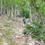 Hiker walking along a rocky trail through a dense forest in Majella National Park, Abruzzo.