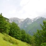Hiking trail in the Apennine Mountains with green forest and snow-capped peaks in Italy.