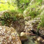 Large moss-covered boulders and a clear stream in a shaded rocky gorge.