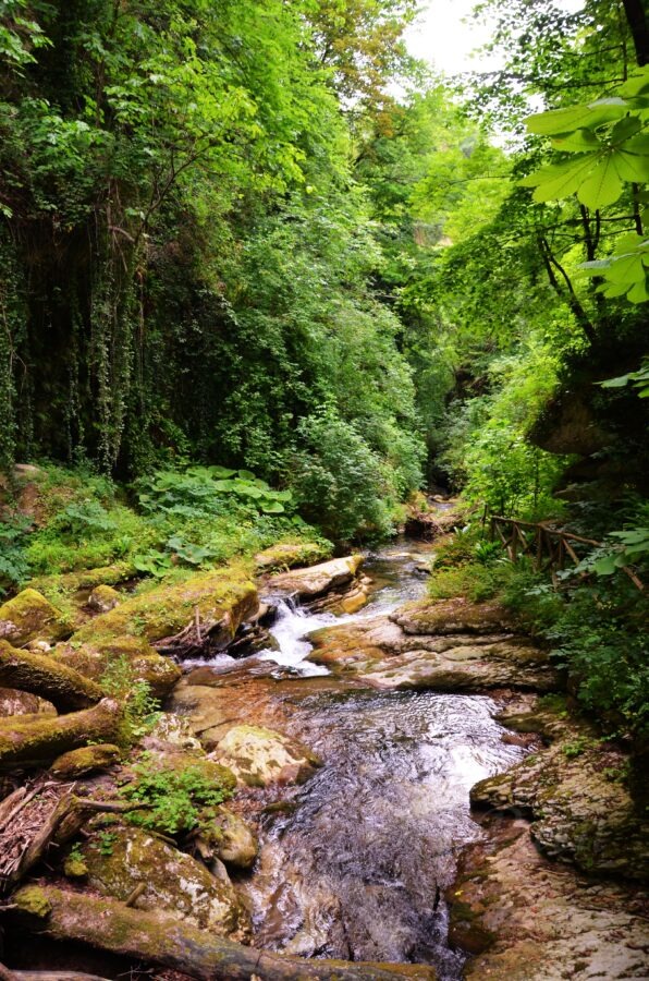 zlak w dolinie Valle dell’Orfento w Parku Narodowym Majella – wąski potok otoczony bujną zielenią, porośnięty mchem kamieniami i drewnianym ogrodzeniem wzdłuż ścieżki trekkingowej w Abruzji.