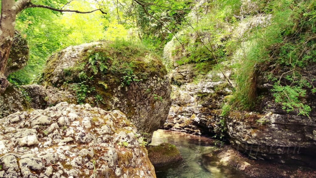 Wąwóz Valle dell’Orfento w Parku Narodowym Majella – strome skały porośnięte mchem i paprociami oraz krystalicznie czysty potok w cieniu zielonych drzew Abruzji.