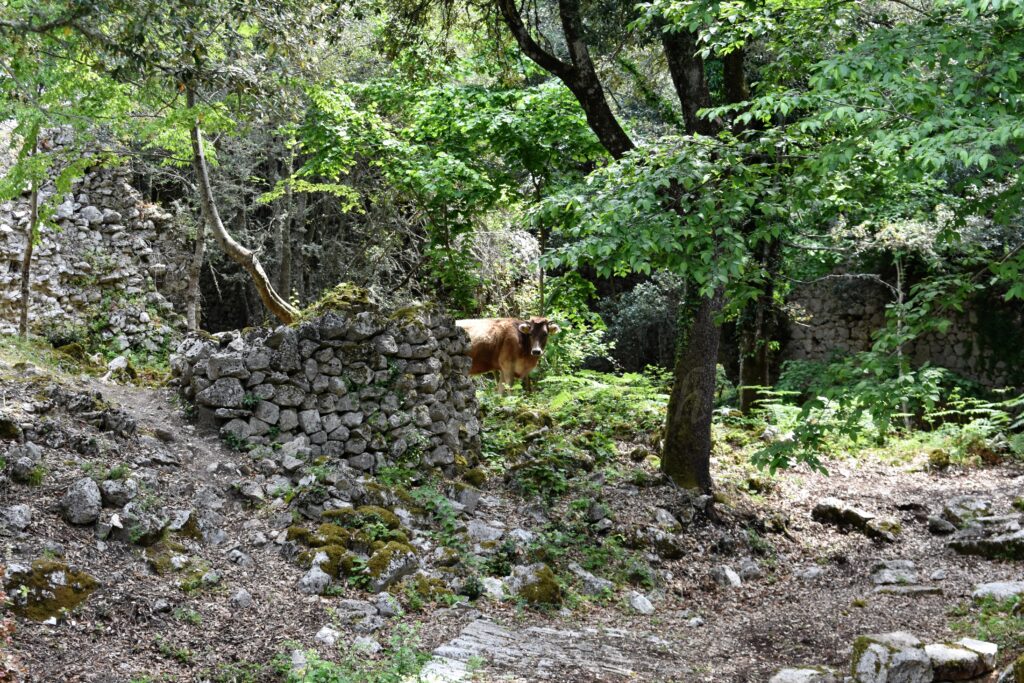 Monte Sacro Gargano