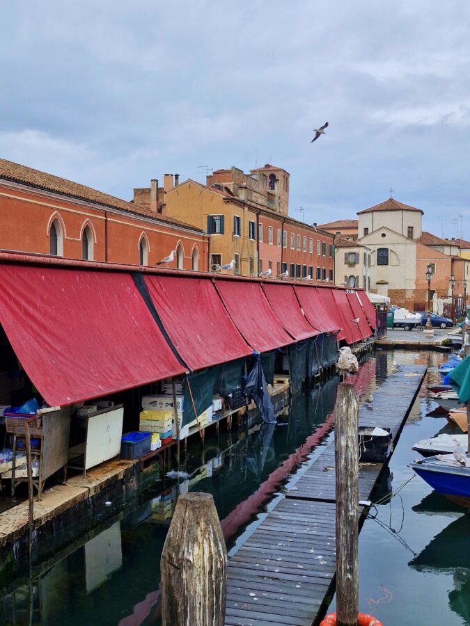 A long row of outdoor fish market stalls with bright red canvas awnings sitting directly over a canal in Chioggia, Italy. Several seagulls are perched along the top edge of the red awnings and on top of wooden mooring poles rising from a wooden floating dock. In the background, multi-story terracotta and yellow buildings line the canal alongside a white church with a tiled roof under a cloudy sky.
