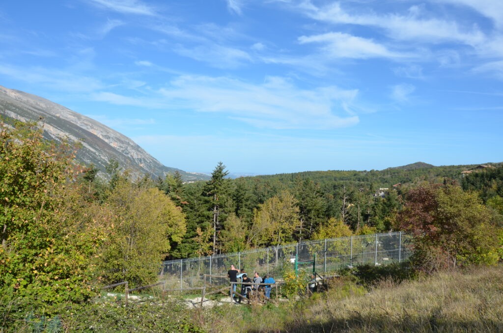 How to see a bear in Abruzzo. Visitors at the Palena Bear Sanctuary fence in Majella National Park, Abruzzo