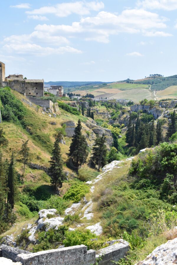 View from the edge of Gravina di Puglia overlooking the steep green canyon with ancient stone houses and cypress trees