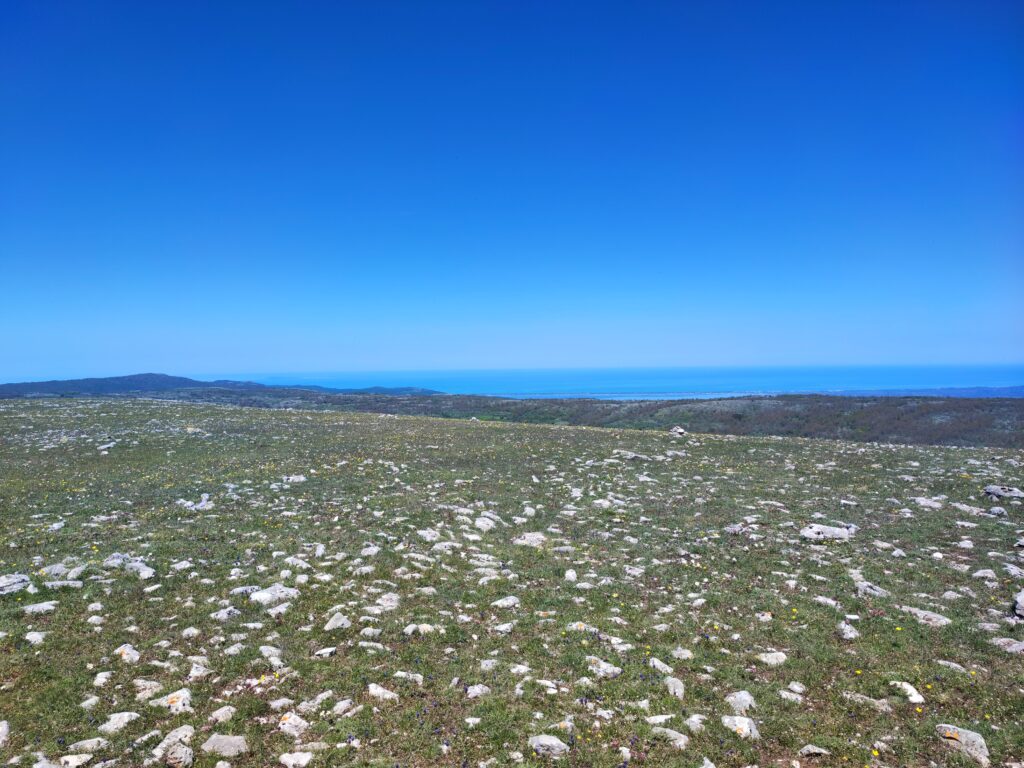Monte Calvo Gargano. A wide panoramic view from the rocky plateau of Monte Calvo, looking out over the Gargano landscape toward the blue Adriatic Sea on the horizon. The foreground is a vast, flat field of green grass densely scattered with white limestone rocks under a clear, bright sky.