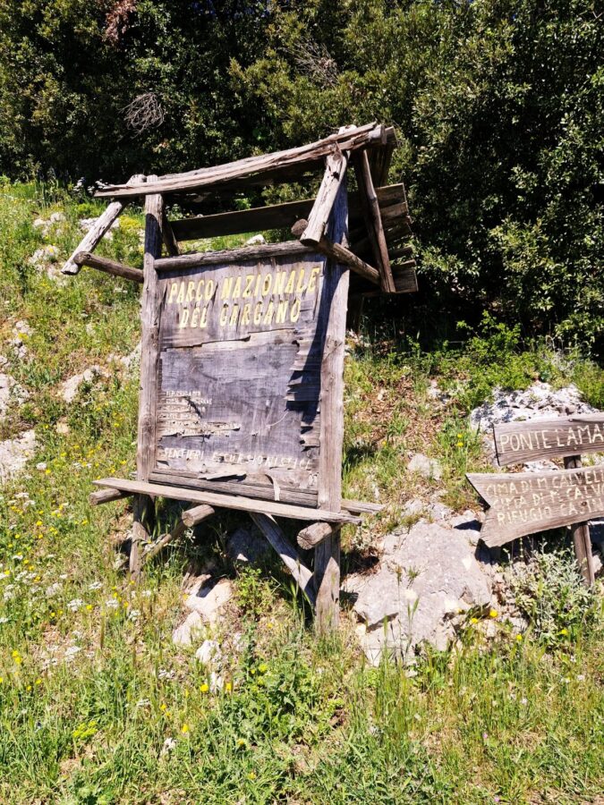 A weathered, dark wooden information board with peeling paint stands at the start of a trail in Parco Nazionale del Gargano. To the right, smaller wooden directional signs point toward Monte Calvo , set against a grassy hillside with small yellow wildflowers and green shrubs.