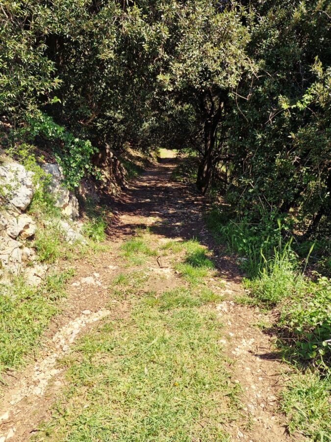 Monte Calvo Gargano.A hiker walks away on a wide, uneven trail covered in loose limestone rocks and stones. The path is bordered by a grassy slope on the left and a dense line of trees on the right, with dappled sunlight filtering through the leaves onto the rocky ground.